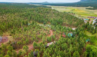 29 N 2058, Alpine, AZ 85920