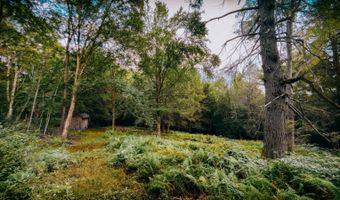 0 Weidick Rd, Andes, NY 13731