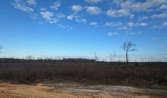 1064 Duke Dr, Bauxite, AR 72011