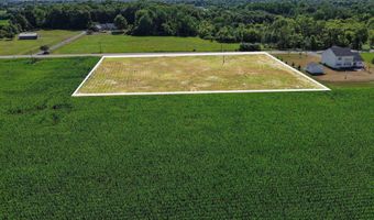 N Luce Road, Alma, MI 48801