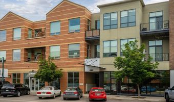 361 Robinson St 308, Basalt, CO 81621