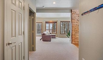 234 PETERSON Dr, Alma, CO 80440