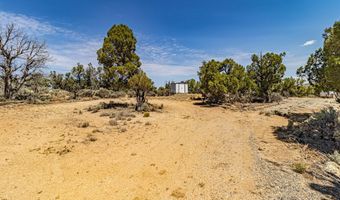 413 Delasso Loos Rd, Blanco, NM 87412
