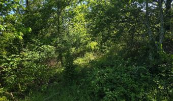 TR 21 & 22 PINE TREE TRAIL, Albion, OK 74571