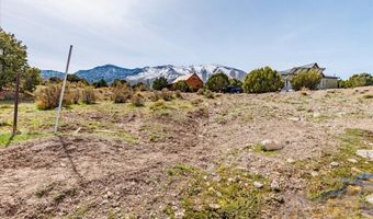 4 Clearview Ave, Cold Creek, NV 89124