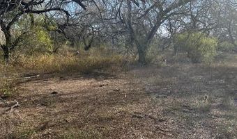403 County Road 324 Cir, Alice, TX 78332