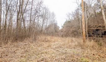 County Road 19-A, Alton, MO 65606