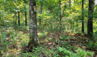 Sulphur Creek Rd off, Big Sandy, TN 38221