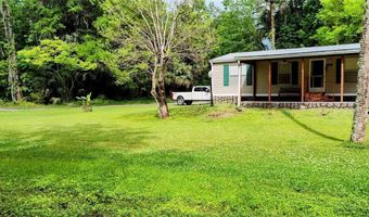 56410 BLUE CREEK Rd, Astor, FL 32102