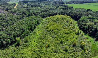 25270 B Dr S, Albion, MI 49224