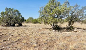 3607 N Double A Ranch Rd, Ash Fork, AZ 86320