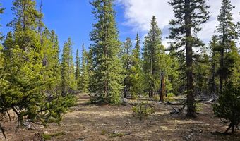 PCS # 7765 & 12057 Rollies Trail lot 0, Alma, CO 80420