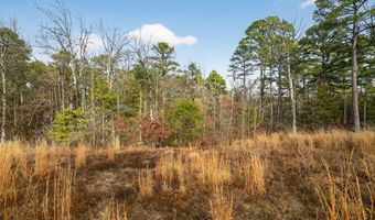 868 County Road 2920, Alba, TX 75410