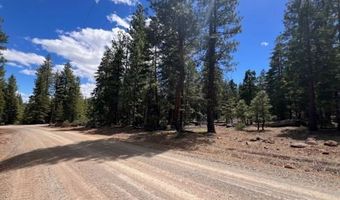 Reno Rd, Alturas, CA 96101