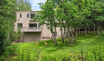209 Larkspur Ln, Aspen, CO 81611