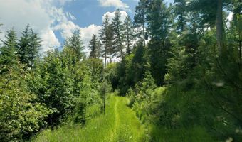 Arlee Pines lot 21, Arlee, MT 59821