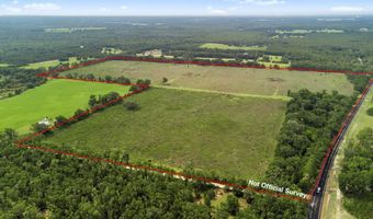 7009 129 Hwy, Bell, FL 32619