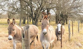 236 HCR 2215, Aquilla, TX 76622