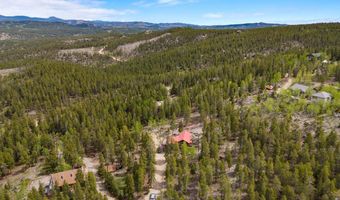 109 Cutforth Rd, Black Hawk, CO 80422