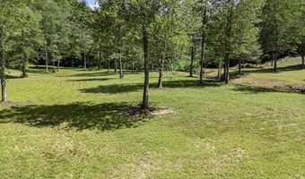 Chestnut Flats Road, Andrews, NC 28901