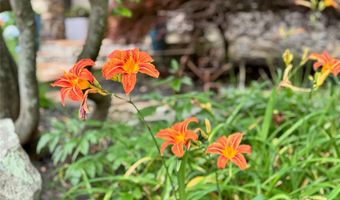 48 And 56 Chimney Crest Dr, Asheville, NC 28806
