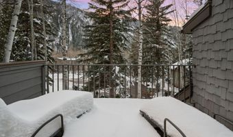 1345 Mayflower Ct, Aspen, CO 81611