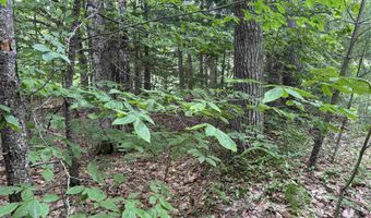 00 Simonsville Rd Lot 3, Andover, VT 05143