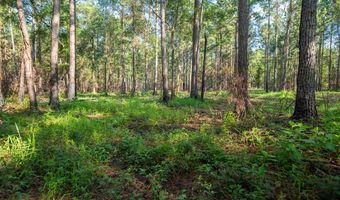 221 Ac Crestview Rd, Arlington, GA 39813