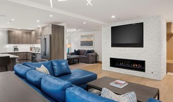 447 E Cooper Ave 1, Aspen, CO 81611