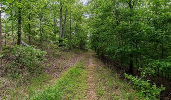 2317 WALDROP ROAD Lot 4 And 5, Ashville, AL 35953