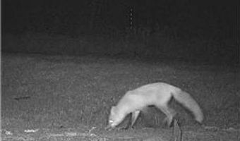 999 Porcupine Trl, Aitkin, MN 56431