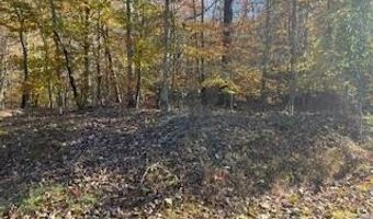 Julius Bridge Road, Ball Ground, GA 30107