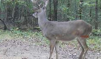 439 WILD ROSE Trl, Ashville, AL 35953