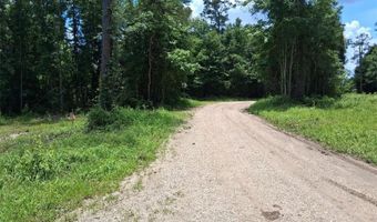 Dan Churchman Road, Axis, AL 36505