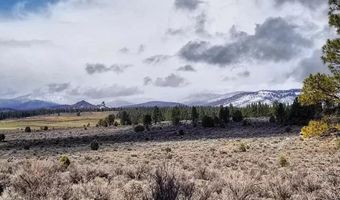 Wayside Circle 13, Beatty, OR 97621