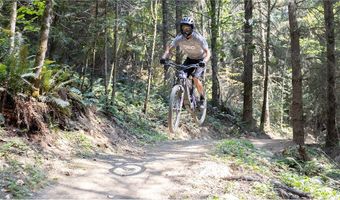 20460 Myrtle Pl E, Bonney Lake, WA 98391