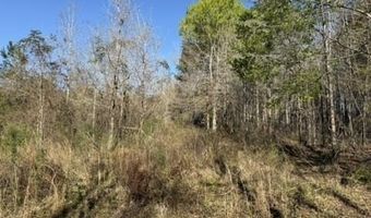 1404 SW Gene Rd, Bogue Chitto, MS 39629