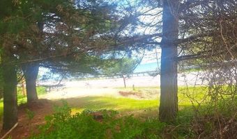 Parcel 2 Lakeshore Road, Applegate, MI 48401
