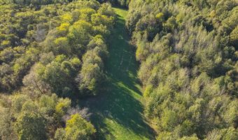 115 County Road 1039, Bardwell, KY 42023