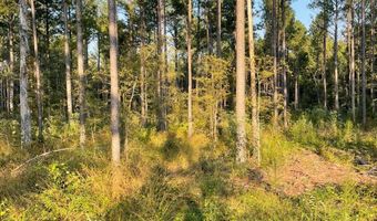 0 Pisgah Rd 4, Brandon, MS 39047