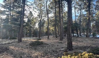 Lot 352 Vail Loop, Angel Fire, NM 87710