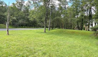 388 Towamensing Trl, Albrightsville, PA 18210