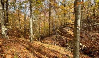 0 State Park Rd 17, Burkesville, KY 42717