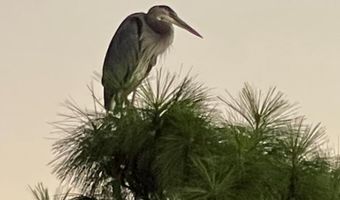 66 8th St, Apalachicola, FL 32320