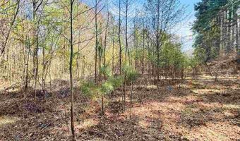 2299 E Main St Ext, Bennettsville, SC 29512