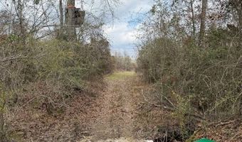 W Factory St, Amite, LA 70422