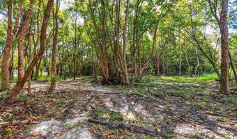 Ella St, Bagdad, FL 32583