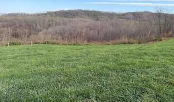 1999 Snake Run Rd, Alderson, WV 24910