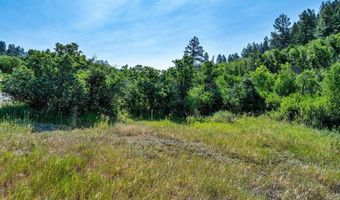 554 Pine Spring Dr, Bayfield, CO 81122