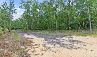 139 Russell Rowe Rd, Leesville, SC 29070